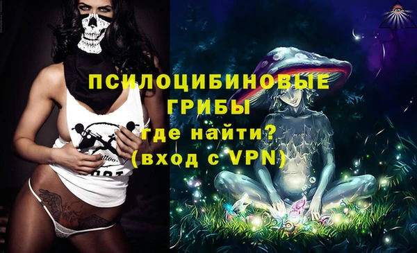 гашик Приозерск