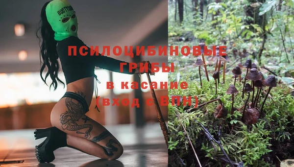 мдпв Протвино