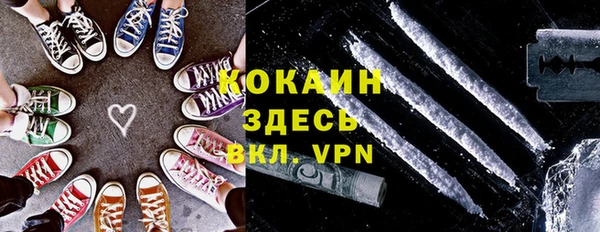мдпв Протвино