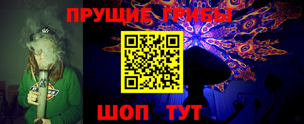 Псилоцибиновые грибы Psilocybine cubensis Советск